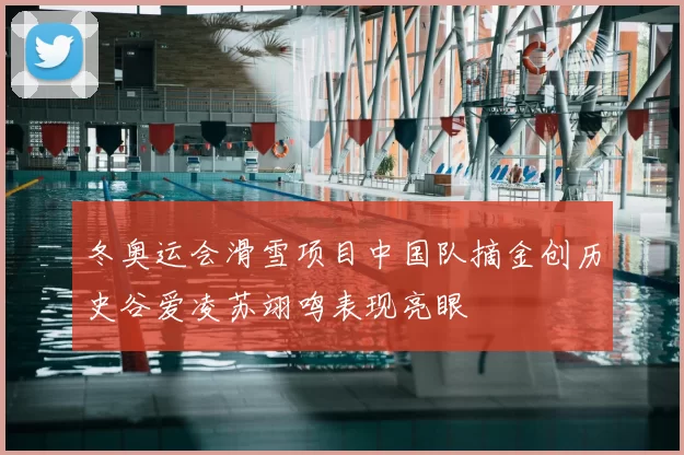 冬奥运会滑雪项目中国队摘金创历史谷爱凌苏翊鸣表现亮眼