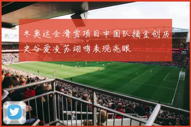 冬奥运会滑雪项目中国队摘金创历史谷爱凌苏翊鸣表现亮眼